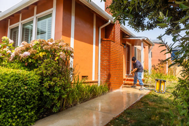 Best Affordable Power Washing  in Stepping Stone, CO