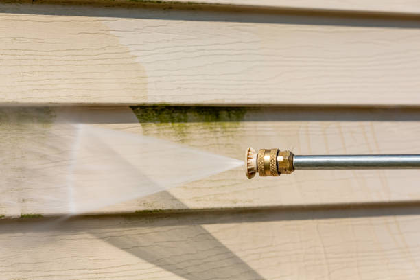 Best Roof Pressure Washing  in Stepping Stone, CO