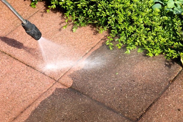 Best Pressure Washing Company Near Me  in Stepping Stone, CO
